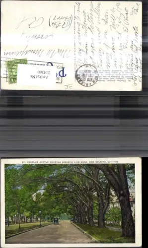 214360,New Orleans St Charles Avenue showing Gigantic Live Oaks