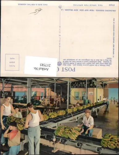 217585,Louisiana New Orleans Unloading Bananas from Ship Side Bananen