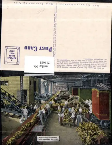 217681,Louisiana New Orleans Unloading Bananas Bananen