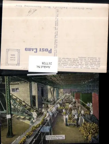 217728,Louisiana New Orleans Unloading Bananas Bananen