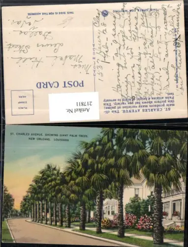 217811,Louisiana New Orleans St Charles Avenue showing Giant Palm Trees Palmen