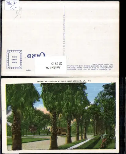 217815,Louisiana New Orleans St Charles Avenue Palms Palmen