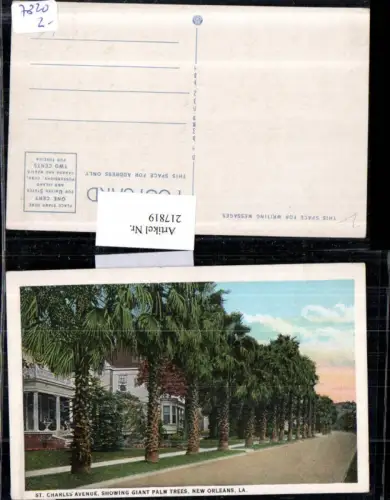 217819,Louisiana New Orleans St Charles Avenue showing Giant Palm Trees Straßenansicht Palmen