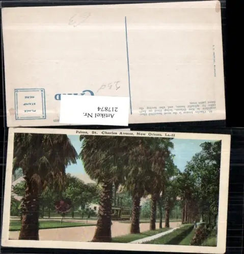 217874,Louisiana New Orleans St Charles Avenue Palms Palmen