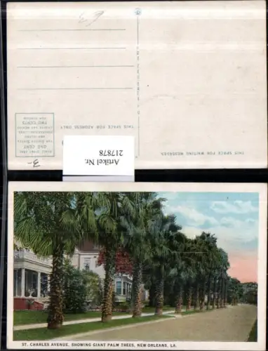 217878,Louisiana New Orleans St Charles Avenue showing Giant Palm Trees Straßenansicht