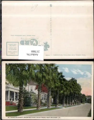 217880,Louisiana New Orleans St Charles Avenue showing Giant Palm Trees Straßenansicht