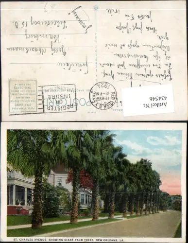 434546,Louisiana New Orleans St. Charles Avenue showing Palm Trees Palmen