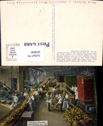 603896,New Orleans Unloading Bananas Bananen Früchte Fabrik Louisiana