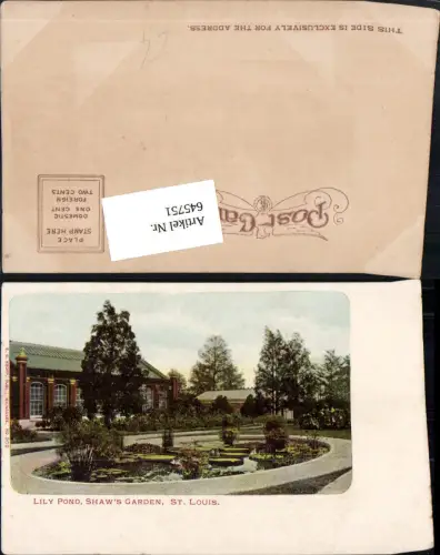 645751,St. Louis Lily Pond Shaw`s Garden