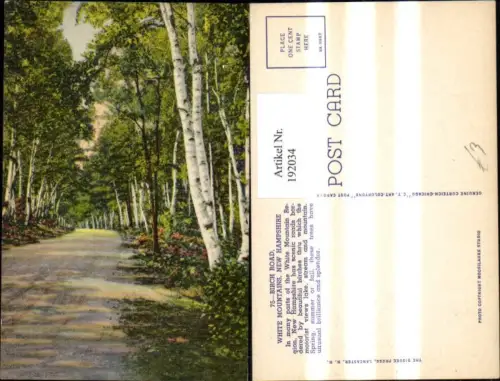 192034,New Hampshire White Mountains Birch Road Birken Straßenansicht