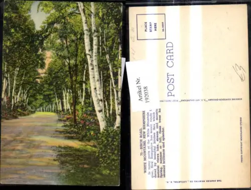 192038,New Hampshire White Mountains Birch Road Birken Straßenansicht