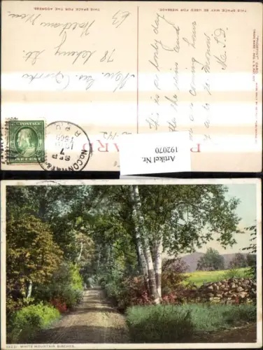 192070,New Hampshire White Mountains Birches Birken Partie