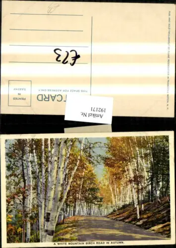 192171,New Hampshire White Mountain Birch Road in Autumn Straßenansicht Birken