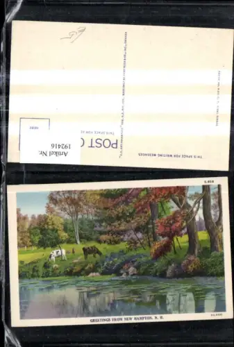 192416,New Hampshire Greetings from New Hampton Kühe