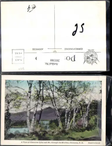 203380,New Hampshire Chocorua View of Chocorua Lake and Mount through the Birches Partie Handcoloriert