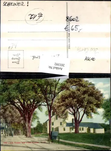 203392,New Hampshire Keene Old Cook House and Elm Straßenansicht