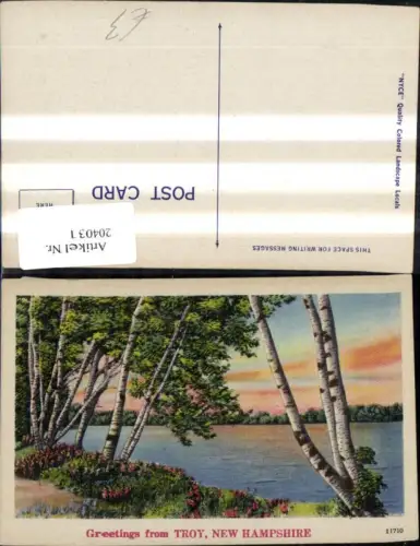 204031,New Hampshire Troy
