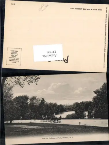 137323,View in Delaware Park Buffalo Kutsche 1905
