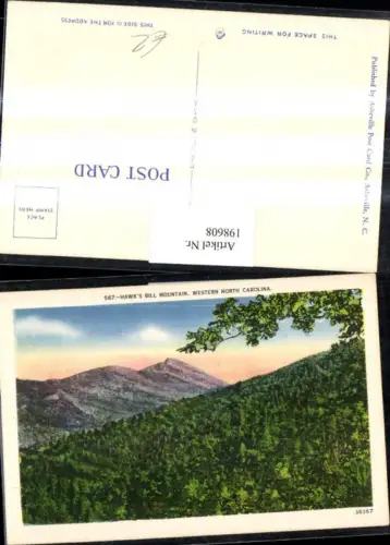 198608,Western North Carolina Hawks Bill Mountain Berg Partie