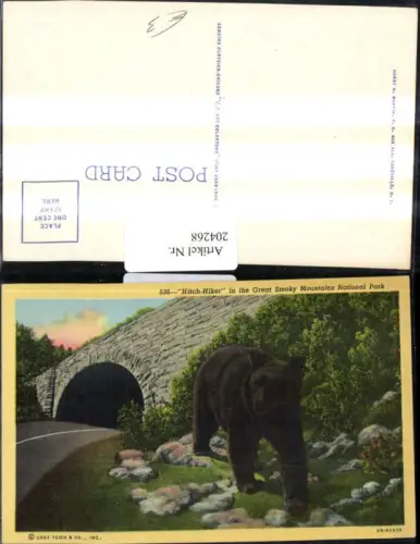 204268,North Carolina „Hitch-Hiker“ in the Great Smoky Mountains National Park Bär
