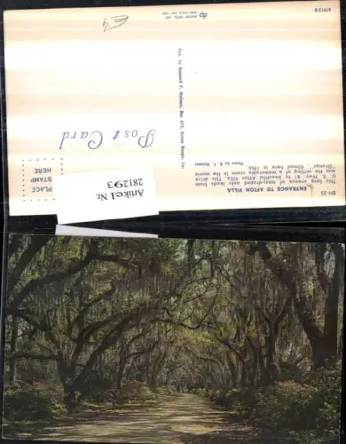 281293,Entrance to Afton Villa Avenue of moss-draped oaks from U. S. Highway 61