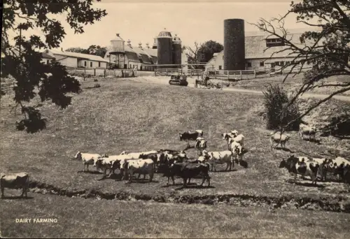 411476,Jumbo Post Card 20x25 Diary Farming USA Landwirtschaft Bauernhof