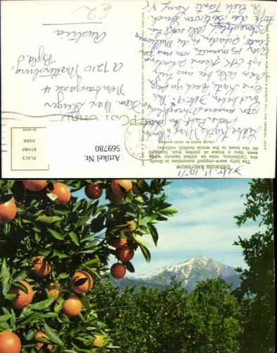 569780,USA Oranges and snow California Culver City Früchte Obst