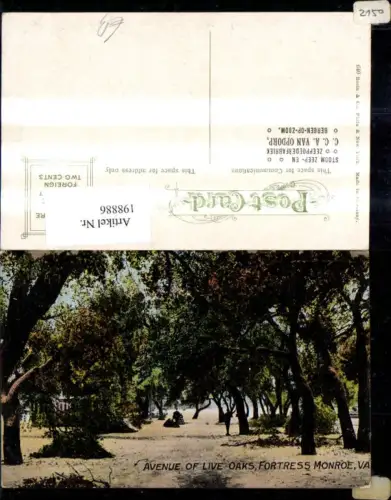 198886,Virginia Fortress Monroe Avenue of Live Oaks