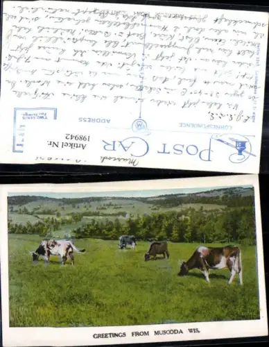 198942,Wisconsin Muscoda Weide Kühe Landschaft