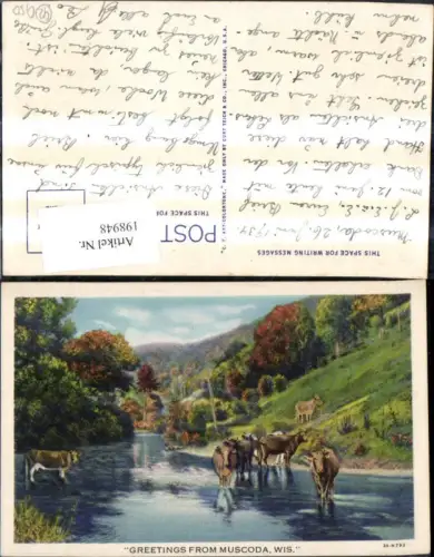 198948,Wisconsin Muscoda Fluss m. Kühen Landschaft