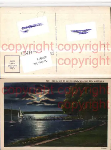 468072,Wisconsin Williams Bay Moonlight on Lake Geneva See Mondschein