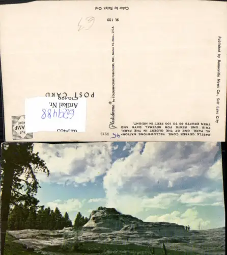 629488,Castle Geyser Cone Yellowstone National Park Wyoming