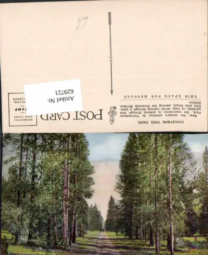 629721,Christmas Tree Park Yellowstone National Park Wyoming