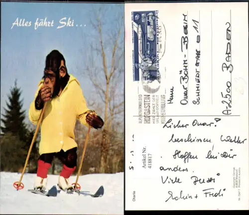 418817,Alles fährt Ski Charlie Schimpanse Affe a. Skiern Schnee Strickjacke Vermenschlichte Tiere