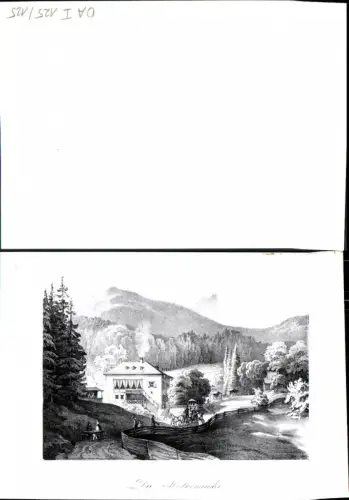 389949,Bad Ischl Der Molkensuder Lichtbild
