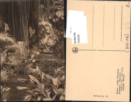 719250 Anvers Antwerpen Jardin Zoologique Zoo