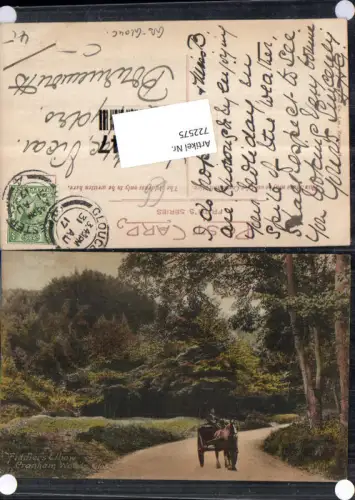 722575 Cranham Woods Fiddlers Elbow Glos. Kutsche