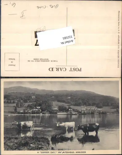722581 Ambleside A summer day Waterhead Kühe Rinder