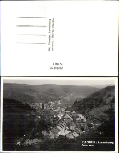 723812 Foto AK Vianden Panorama