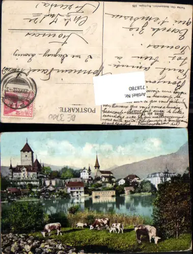 718780 Spiez am Thunersee bei Thun Kühe