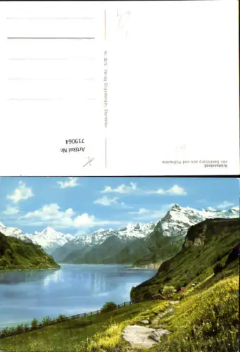 719064 Bristenstock v. Seelisberg aus u. Rütliwiese