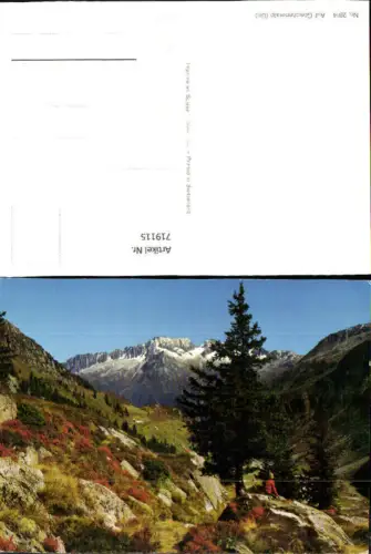 719115 Auf Göscheneralp Uri Göschenen