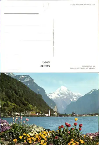 719142 Flüelen a. Vierwaldstättersee mit Bristenstock