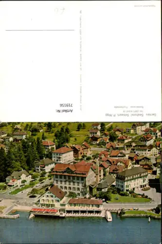 719156 Luftbild Gersau Seehotel Schwert