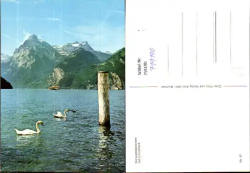 719190 Vierwaldstättersee m. Urirotstock Schwan Schiff Dampfer b. Brunnen