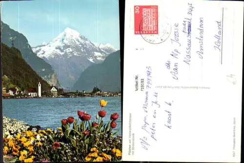 719193 Flüelen a. Vierwaldstättersee m. Bristenstock Tulpen Blumen i. Vordergrund