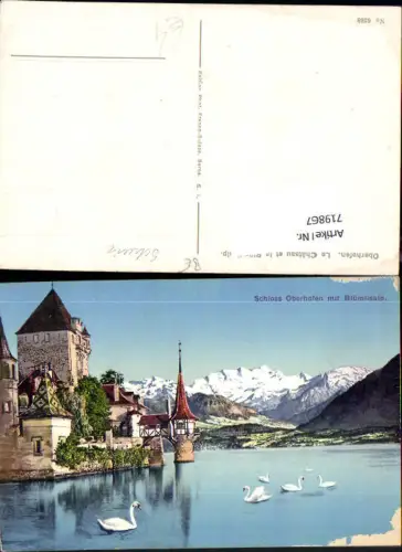 719867 Oberhofen a. Thunersee Schloss Le Chateau et la Blümlisalp Schwan Schwäne