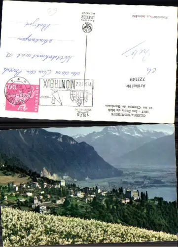 722149 Montreux Montreux Glions sur Montreux Les Dents du Midi et les Champs de Narcisses