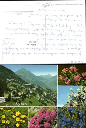 722210 Mehrbild AK Leysin Alpenflora