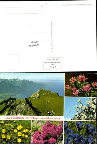 722224 Les Rochers-de-Naye sur Montreux Alpenflora Bergstation Berghotel